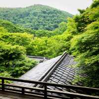 【🇯🇵京都】🍁息を呑む美しいリフレクション