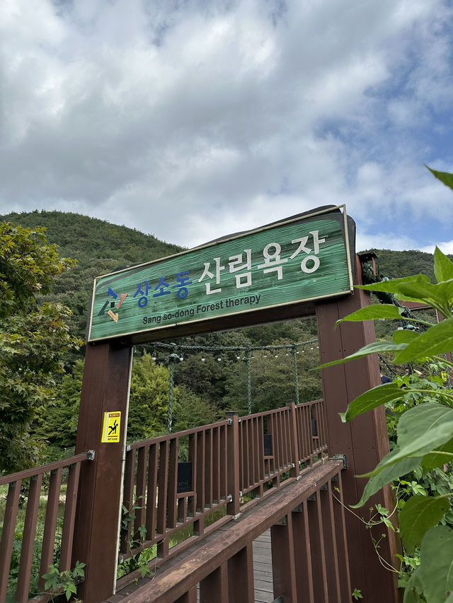 【韓国/大田】まるで韓国のアユタヤ！？