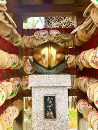 〜埼玉県〜絶対行って欲しい花手水の神社　金色の桃も！