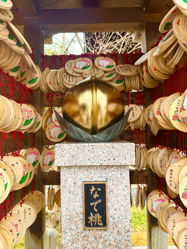 〜埼玉県〜絶対行って欲しい花手水の神社　金色の桃も！