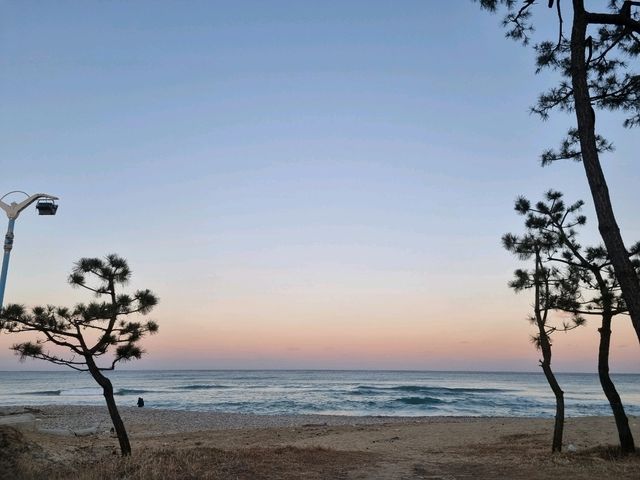 강릉여행 필수코스! 노을 맛집 : 🏖주문진해수욕장🌅🩵💛💙🧡
