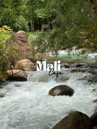 Mali Cafe 🌿