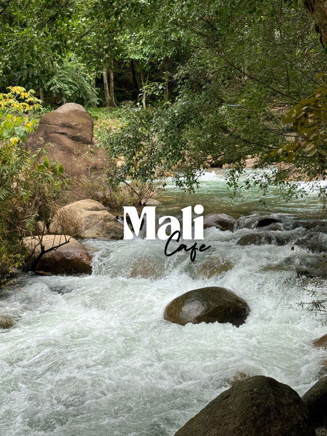 Mali Cafe 🌿