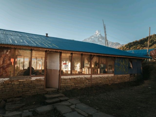 Day 5 Mardi Himal  (Low Camp - Pokhara)