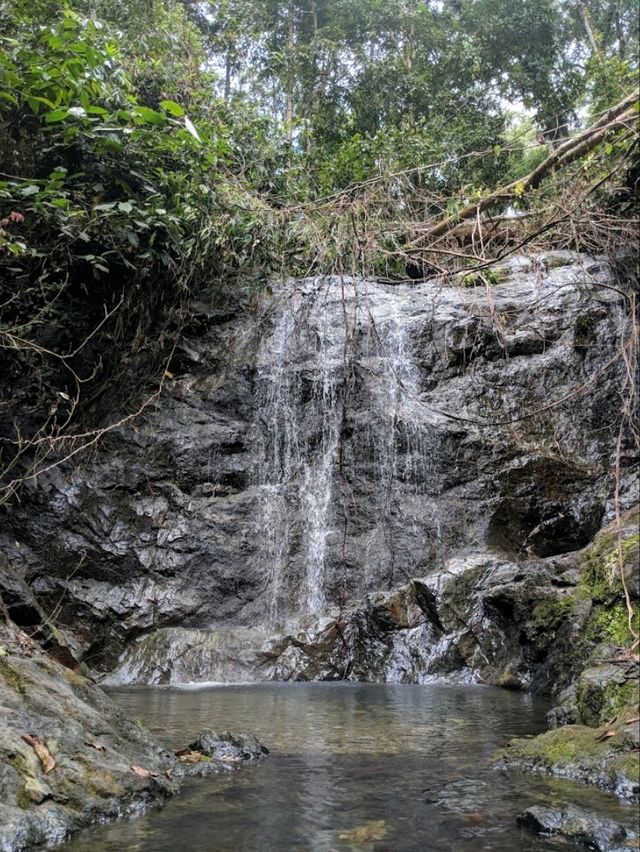 Danum Valley Conservation Area
