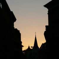 Nature and Art Nouveau