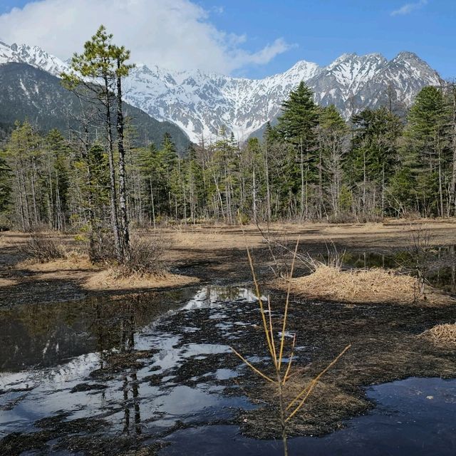 初夏開山的殘雪美景，上高地健行之旅。