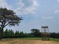 캠핑클럽🏕 촬영지로 유명한, 자연을 즐기며 쉬어가는 곳 