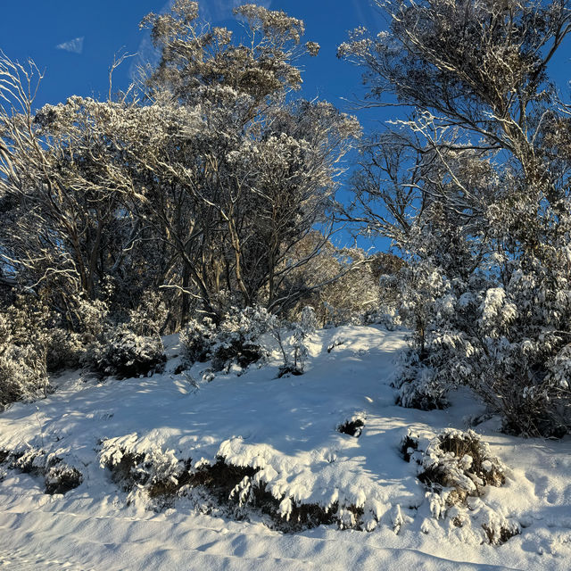 Winter in Sydney