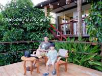 ขุดพลอย ที่บ่อพลอยเหล็กเพชร จันทบุรี 💎