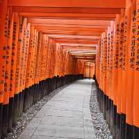 Summer in Japan 🇯🇵 🍣🍱