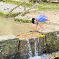 A Hidden Gem in Tokun Forest