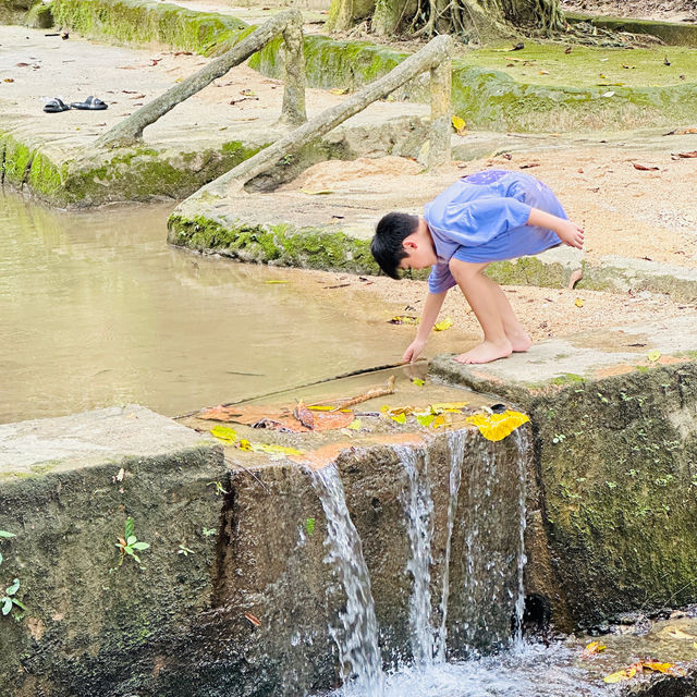A Hidden Gem in Tokun Forest