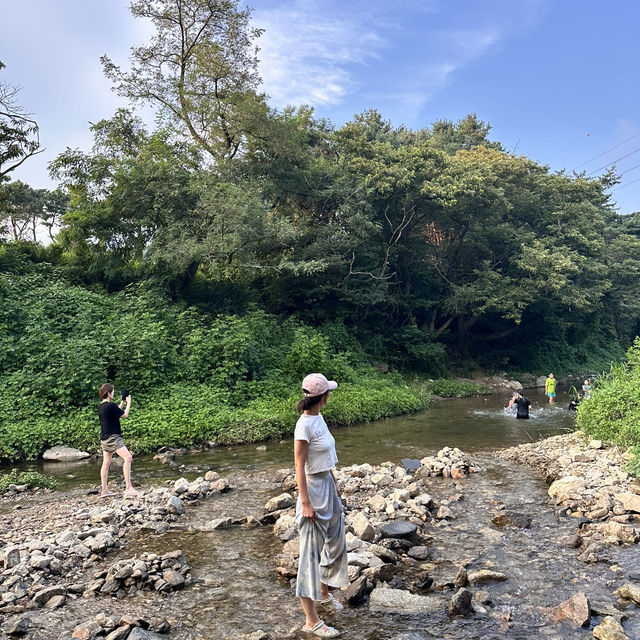 서울 근교 계곡 맛집 용인 고기리유원지💦