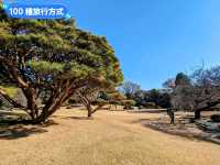 日本東京-東京庶民的後花園：新宿御苑