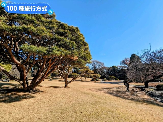 日本東京-東京庶民的後花園：新宿御苑