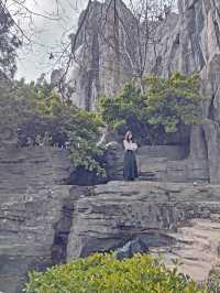 集當代書法大全藝術風采：中國翰園