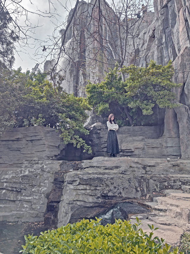 集當代書法大全藝術風采：中國翰園