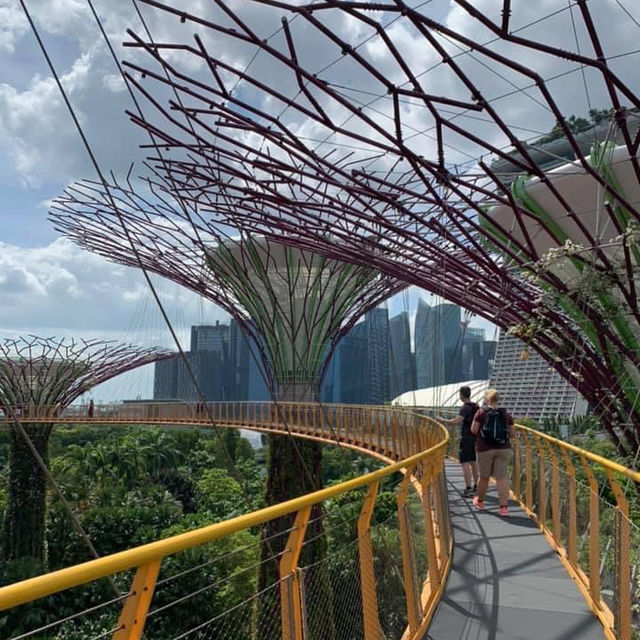 濱海灣花園天空步道-超級樹