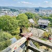 일본 국보 천수가 있는 이누야마성