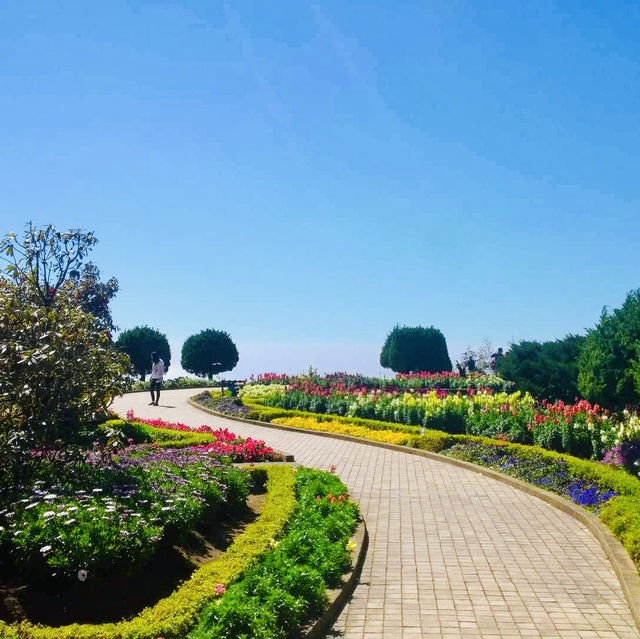 Doi Inthanon National Park: A Blooming Paradise