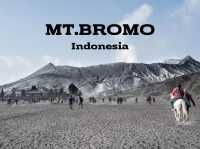 Mt.Bromo