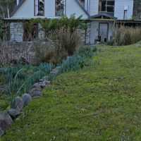 A Taste of Bruny: Discovering the Bread Fridge and Stone Cottage Retreat