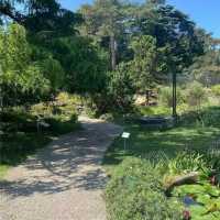 劍橋大學植物園🛟全面瞭解大自然的鬼斧神工