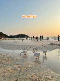 📌🍂 หาดเทียน