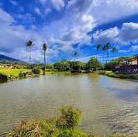 Maui, Hawaii: Paradise in the Pacific