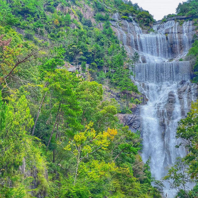 綾廣之滝🌱平靜時光