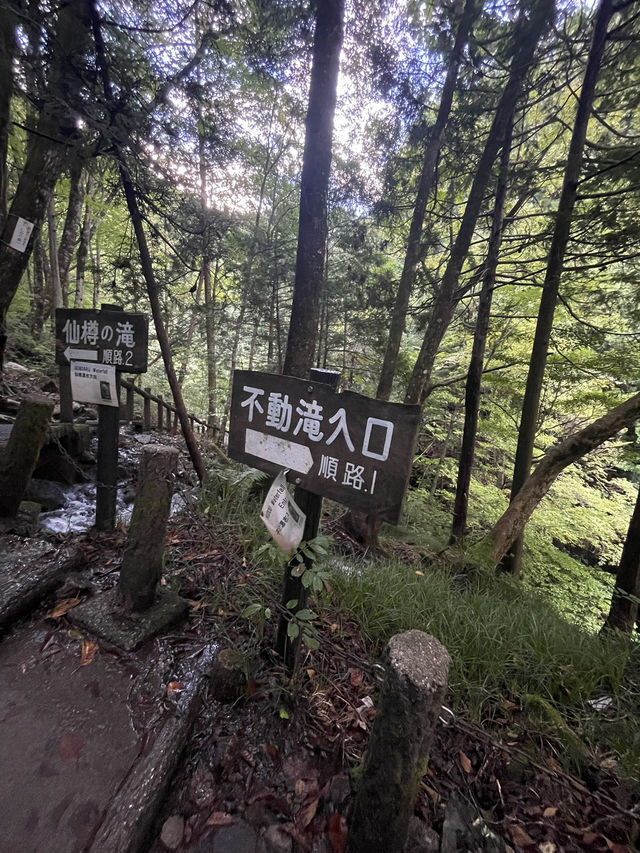 岐阜　迫力満点の不動滝✨