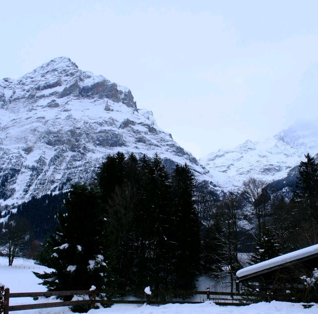 🇨🇭少女峰前哨站📍Grindewal🇨🇭🇨🇭