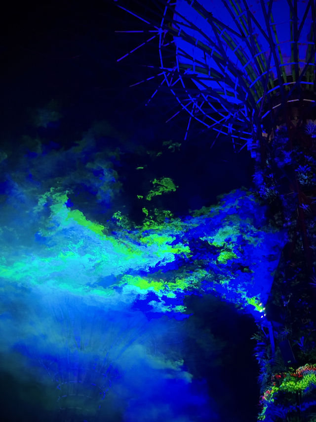 🇸🇬Don’t miss out this breathtaking light show in this Sept!