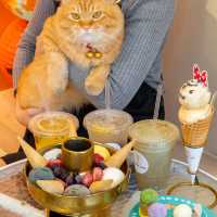 Frozen Love: A Sweet Indulgence in Penang