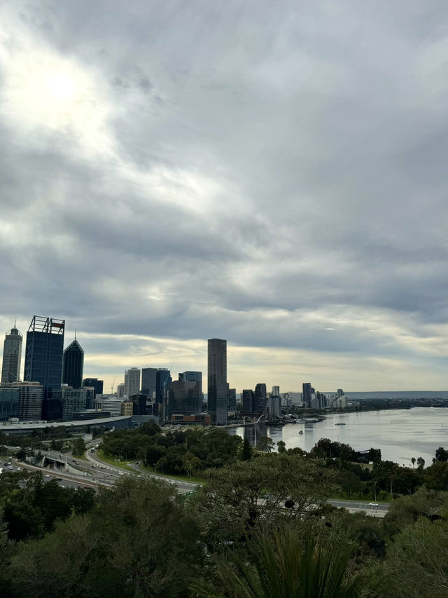 【🇦🇺パース】公園で朝活！おしゃれな朝食を食べよう🥯