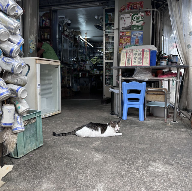 香港「貓島」： 大澳的水鄉風情之旅
