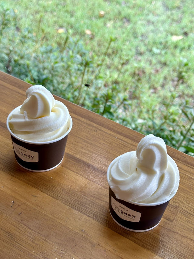 두물머리의 수려한 자연경관을 보며 🏞️ 커피타임을 가질 수 있는 사진명소카페