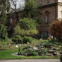 A Peaceful Escape in the Heart of Turin: The Serenity of Parco del Valentino