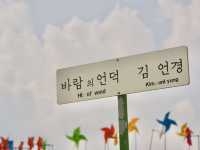 알록달록 바람개비가 가득한 사진스팟