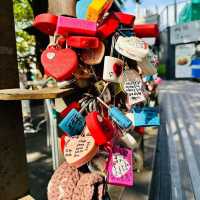 Panoramic Views of Seoul from N Seoul Tower