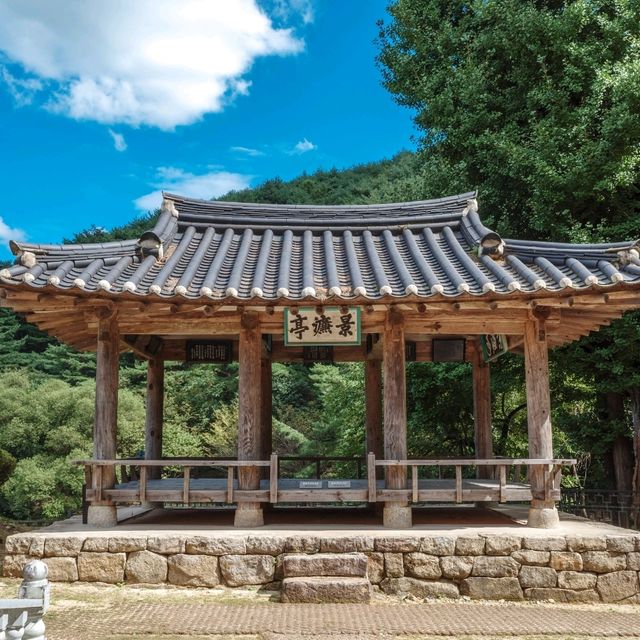치유의 에너지를 경험할 수 있는