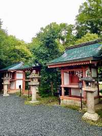 【京都府】うさぎがご縁を運ぶ神社