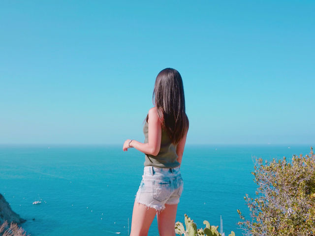 나혼자산다에 나온 산타카탈리나섬