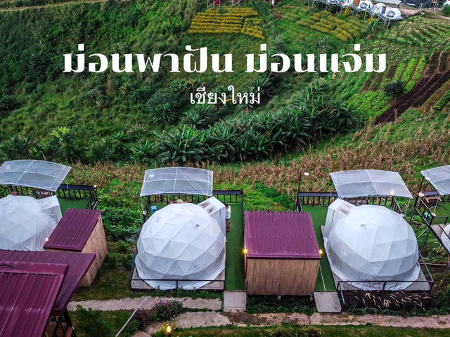 เที่ยวปลายฝนอากาศดีมีหมอกยามเช้า