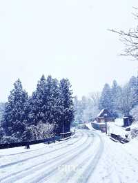 雪降ってる季節に行きたい世界遺産【岐阜/白川村】