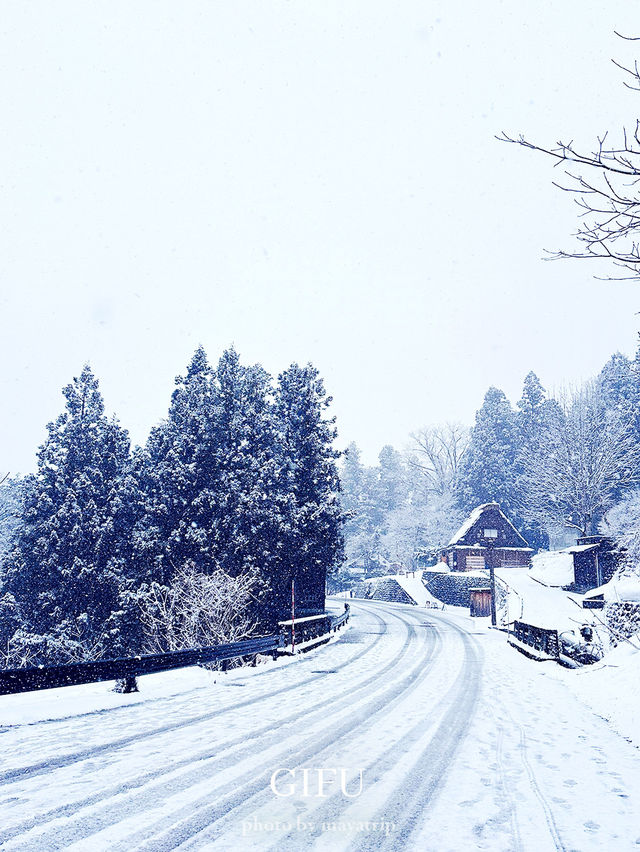 雪降ってる季節に行きたい世界遺産【岐阜/白川村】