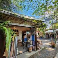 ตลาดฉำฉา : กาดชุมชนโหล่งฮิมคาว สันกำแพง เชียงใหม่