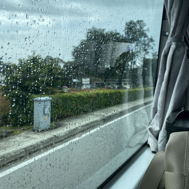 Economical way to travel! 🚎 