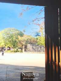 世界最大のプラネタリウム【名古屋】ゆったり名古屋プラン